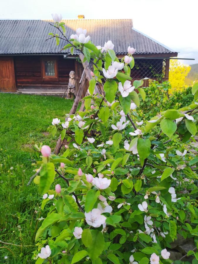 Starovitska Hata - Ethno-Cottage Verkhovyna Exterior photo