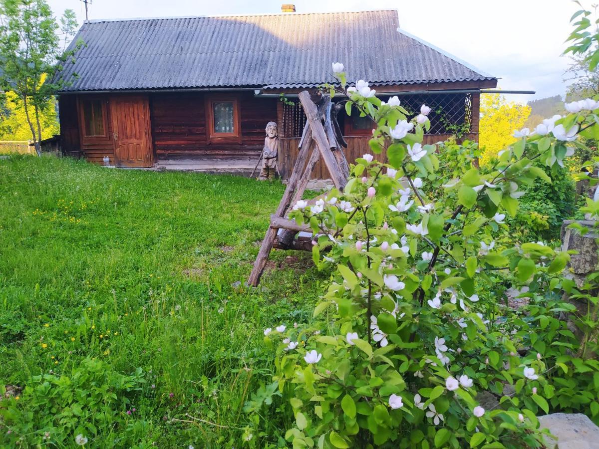 Starovitska Hata - Ethno-Cottage Verkhovyna Exterior photo