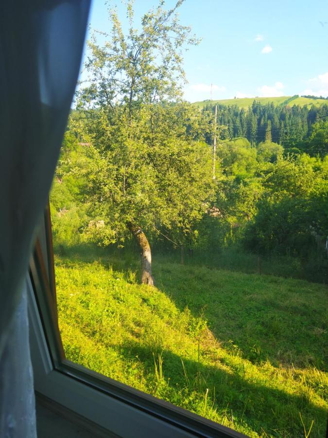 Starovitska Hata - Ethno-Cottage Verkhovyna Exterior photo