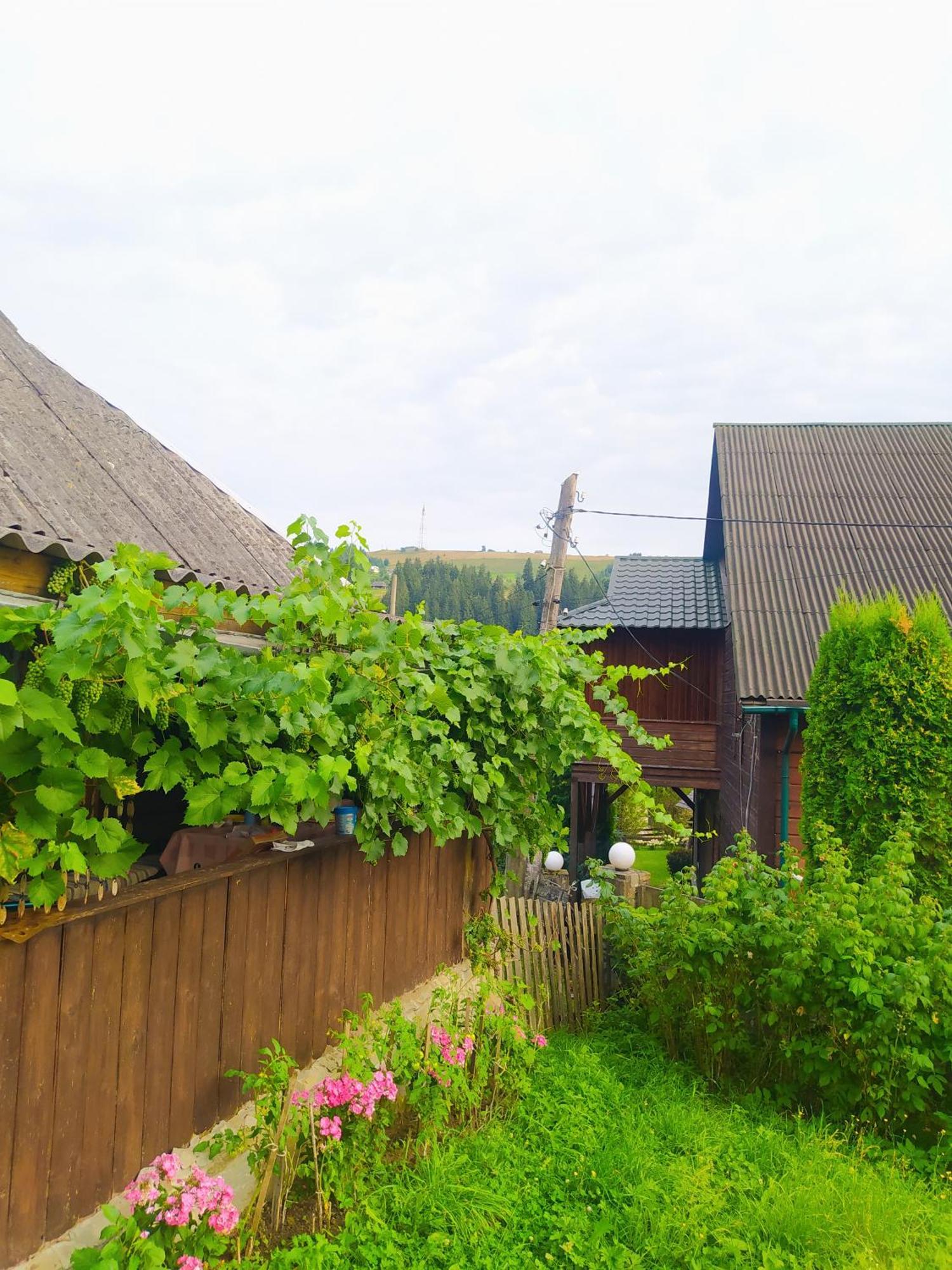 Starovitska Hata - Ethno-Cottage Verkhovyna Exterior photo