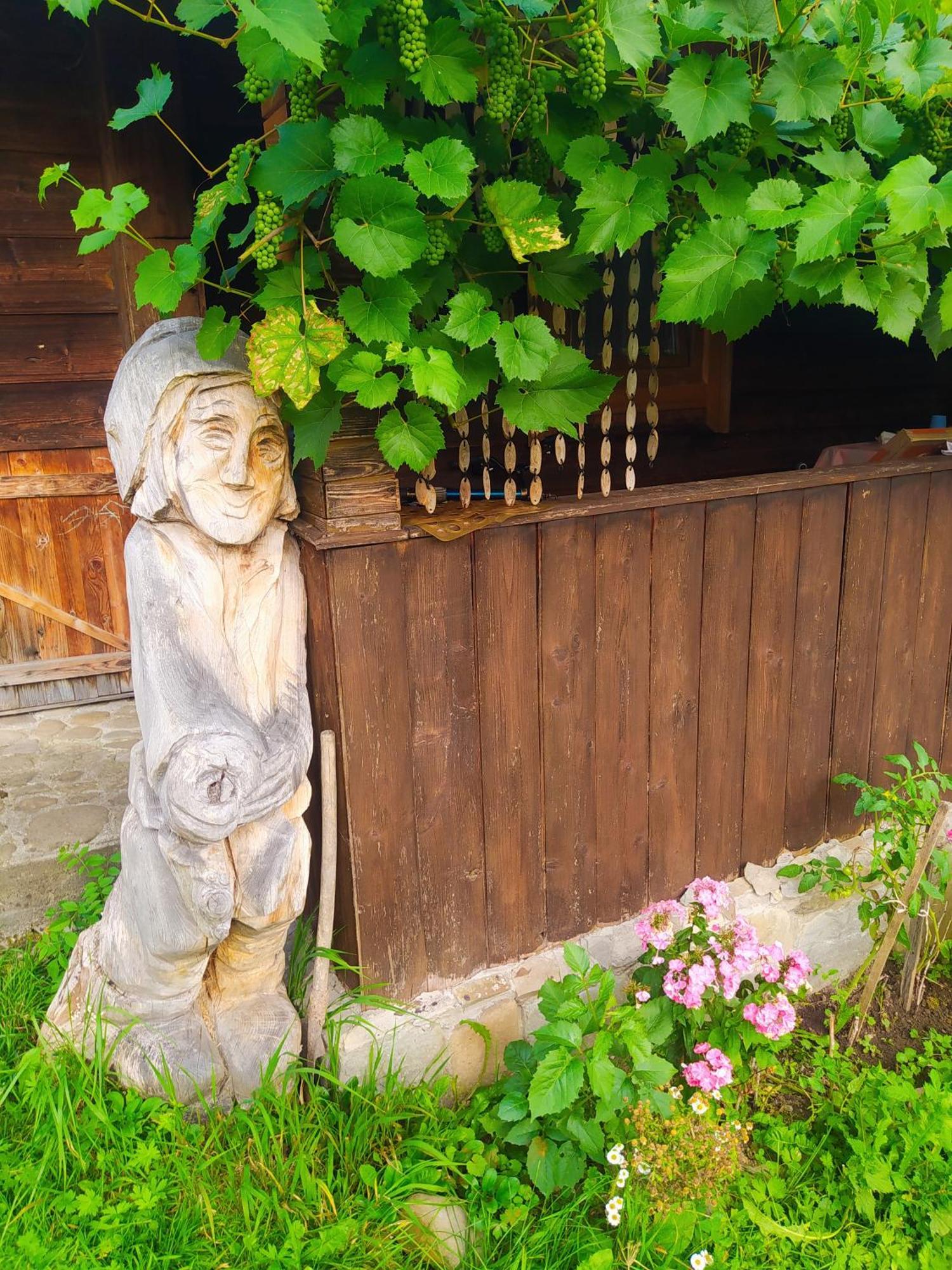 Starovitska Hata - Ethno-Cottage Verkhovyna Exterior photo